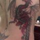 It's only half completed with the left side of my back to be done in October, but this is where it is now.