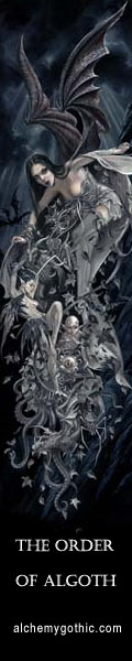 vamp120x600