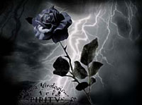 TheBlackRose