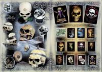 Page 42-43